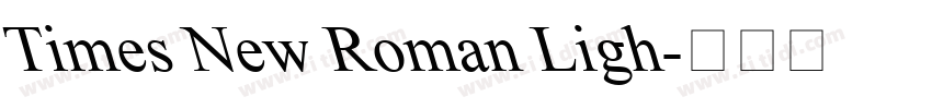 Times New Roman Ligh字体转换 Times New Roman Ligh字体转换